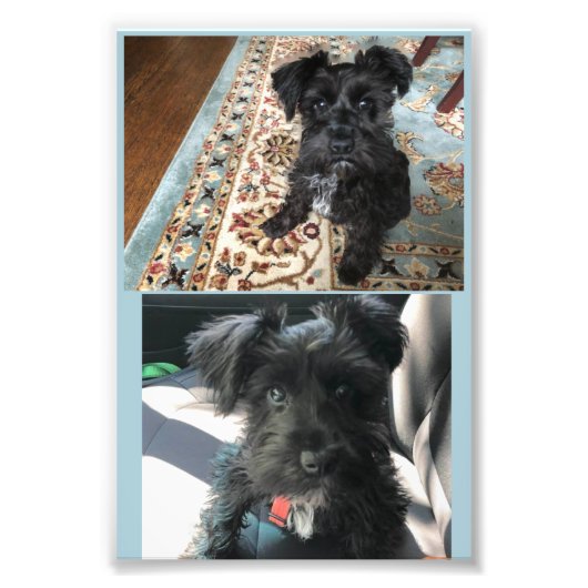 Kodak Professional-fotopapier (Satin) Foto Afdruk (Voorkant)