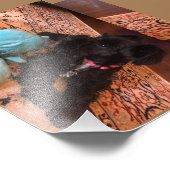 Kodak Professional-fotopapier (Satin) Foto Afdruk (Hoek)