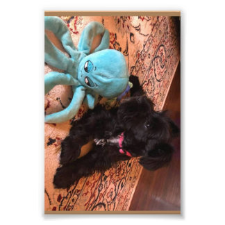 Kodak Professional-fotopapier (Satin) Foto Afdruk