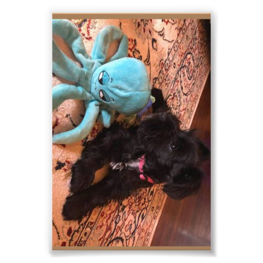 Kodak Professional-fotopapier (Satin) Foto Afdruk (Voorkant)