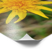 Kodak Professional-fotopapier (Satin) - fotograaf Foto Afdruk (Hoek)