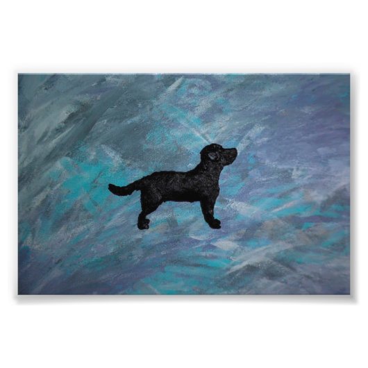 Kodak Professional-fotopapier (Satin) - fotograaf Foto Afdruk (Voorkant)