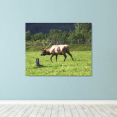 Kodiak, Alaska Elk Outdoor Foto ontworpen Fancy Canvas Afdruk (Insitu (Houten vloer))