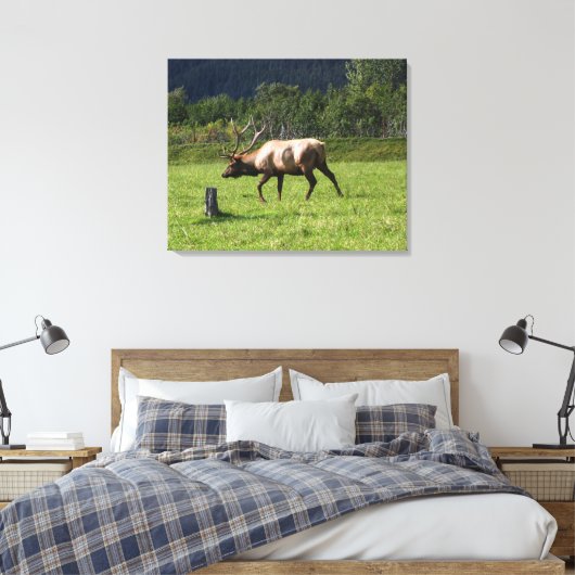 Kodiak, Alaska Elk Outdoor Foto ontworpen Fancy Canvas Afdruk (Insitu (Slaapkamer))