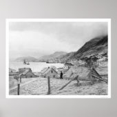 Kodiak, Alaska Panorama 1909 Poster (Voorkant)