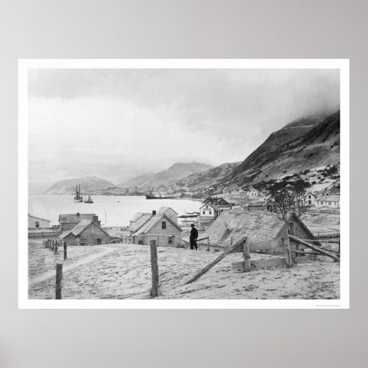 Kodiak, Alaska Panorama 1909 Poster (Voorkant)