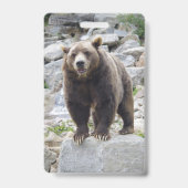 Kodiak-Beer Badge (Achterkant)