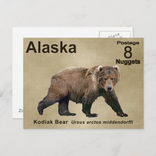 Kodiak-Beer Briefkaart (Voorkant / Achterkant)