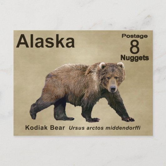 Kodiak-Beer Briefkaart (Voorkant)