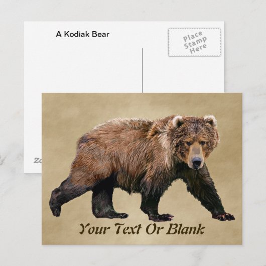 Kodiak-Beer Briefkaart (Voorkant / Achterkant)