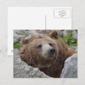 Kodiak-Beer Briefkaart (Voorkant / Achterkant)