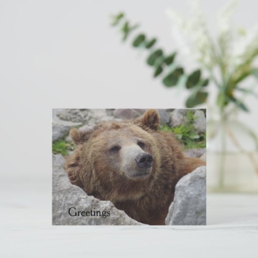 Kodiak-Beer Briefkaart (Staand voorkant)