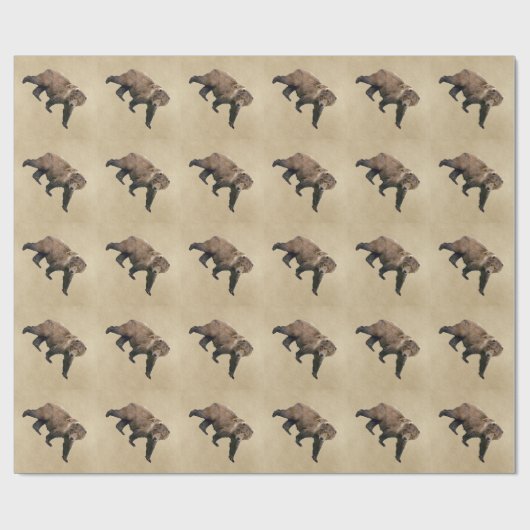 Kodiak-Beer Cadeaupapier (Vlak)