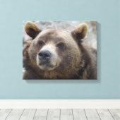 Kodiak Beer Closeup Canvas Afdruk (Insitu (Houten vloer))