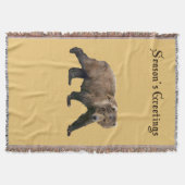 Kodiak-Beer Deken (Voorkant)