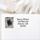 Kodiak-beer Etiket (Insitu)