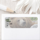 Kodiak-Beer Etiket (Insitu)