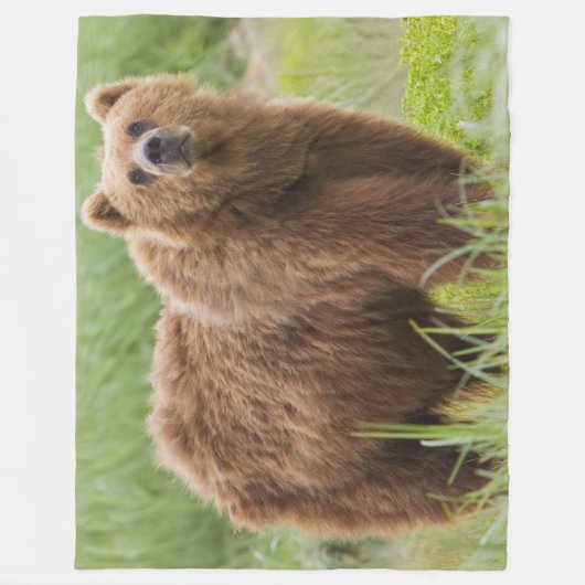 KODIAK-BEER FLEECE DEKEN (Voorkant)