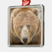 Kodiak Beer Gezicht - Wild Alaska Metalen Ornament (Links)