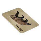 Kodiak-Beer Magneet (Rechterzijde)