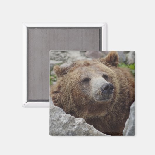 Kodiak-Beer Magneet (Voorkant / Achterkant)