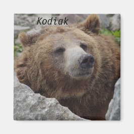 Kodiak-Beer Magneet