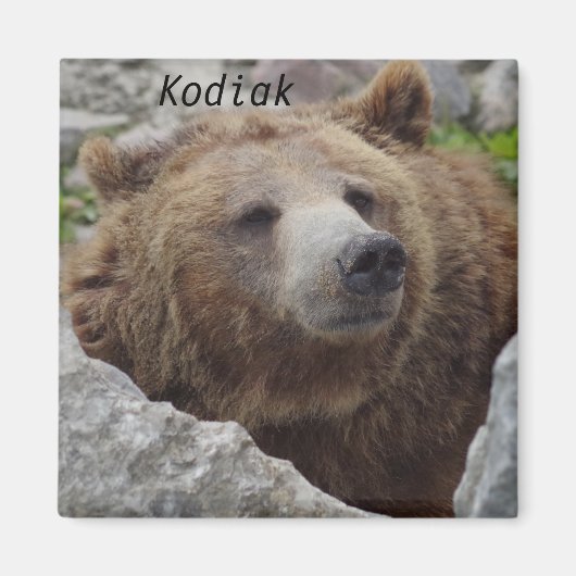 Kodiak-Beer Magneet (Voorkant)