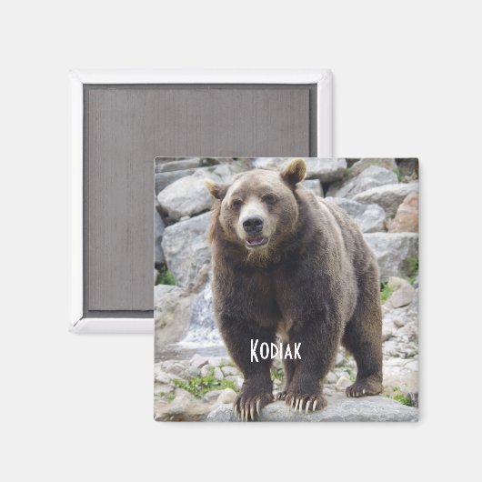 Kodiak beer magnet (Voorkant / Achterkant)