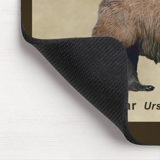 Kodiak-Beer Muismat (Hoek)