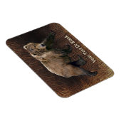 Kodiak Beer on Cariou Fur Magneet (Rechterzijde)