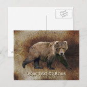 Kodiak Beer on Cariou (rendier)-pur Briefkaart (Voorkant / Achterkant)