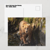 Kodiak Beer op de Frazer Beer Viewing Site Briefkaart (Voorkant / Achterkant)