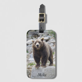 Kodiak-Beer op een rots Bagagelabel