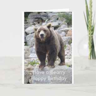 Kodiak-beer op een rots kaart