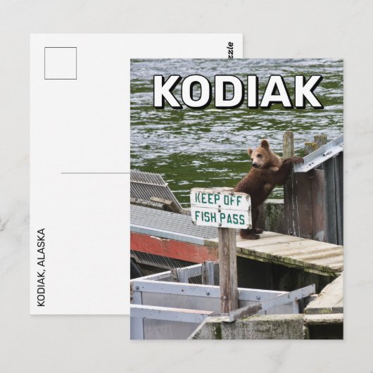 Kodiak Beer overtreedt de regels Briefkaart (Voorkant / Achterkant)