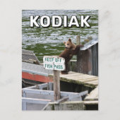 Kodiak Beer overtreedt de regels Briefkaart (Voorkant)