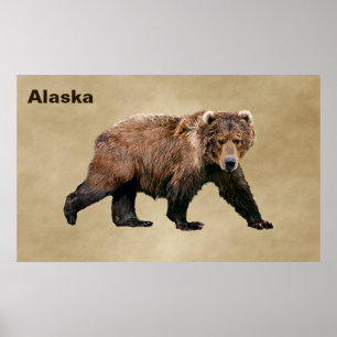 Kodiak-Beer Poster