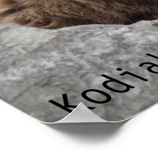 Kodiak-Beer Poster (Hoek)