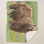 KODIAK-BEER SHERPA DEKEN (Voorkant)