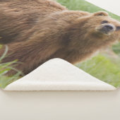 KODIAK-BEER SHERPA DEKEN (3/4)