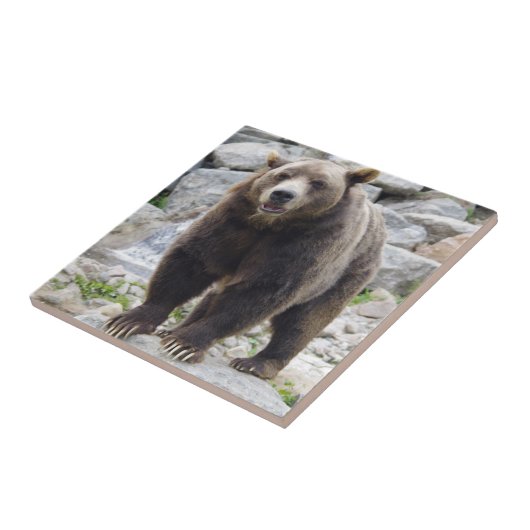 Kodiak-Beer Tegeltje (Zijkant)