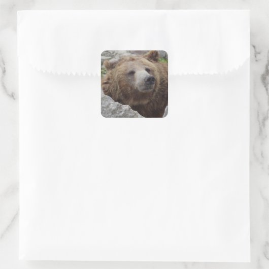 Kodiak-Beer Vierkante Sticker (Tas)