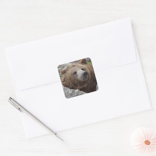 Kodiak-Beer Vierkante Sticker (Envelop)