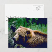 Kodiak Brown Beer Briefkaart (Voorkant / Achterkant)