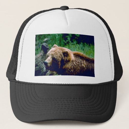 Kodiak Brown Beer Trucker Pet (Voorkant)