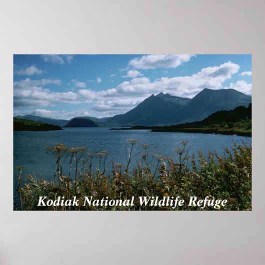 Kodiak National Wildlife Refuge Poster (Voorkant)