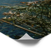 Kodiak National Wildlife Refuge Poster (Hoek)