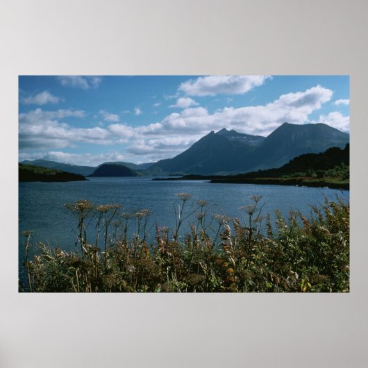 Kodiak National Wildlife Refuge Poster (Voorkant)
