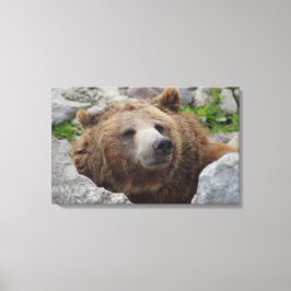 Kodiakbeer Canvas Afdruk