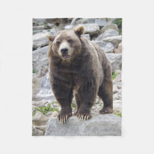 Kodiakbeer Fleece Deken (Voorkant)